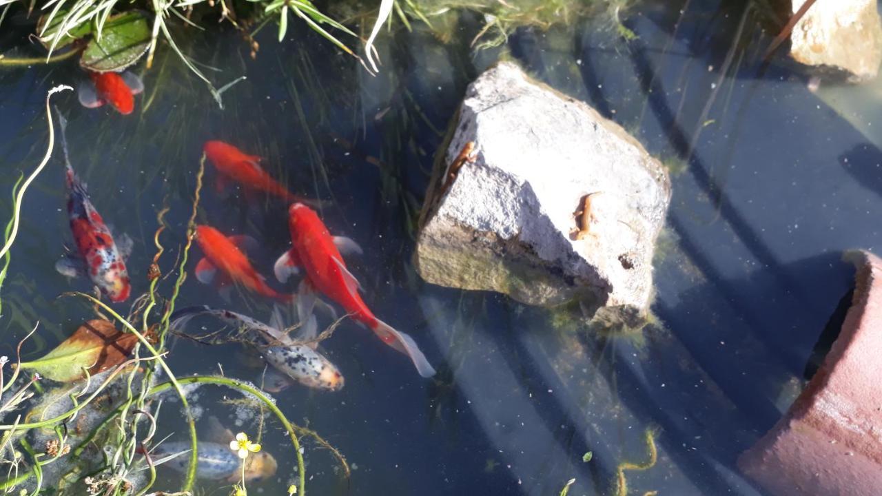 La Menagerie Ξενοδοχείο Maigne Εξωτερικό φωτογραφία